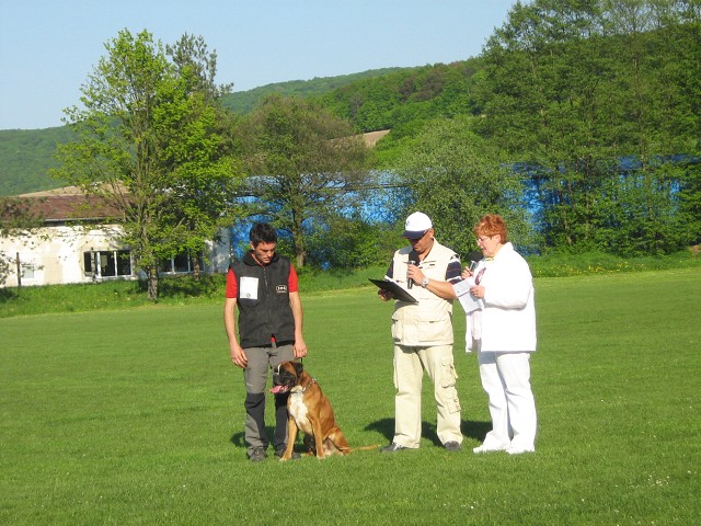 www.atibox.net * www.euroboxer.eu * www.boxergenealogia.eu